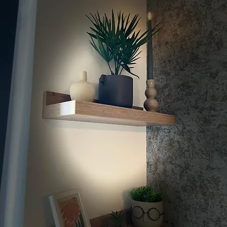 Cosmopolit Nest Apartment Brasov
